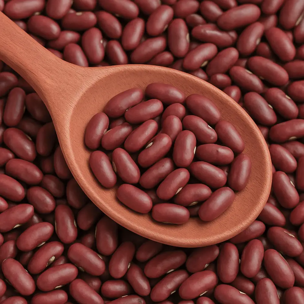 image-rot Rote Bohnen - Image 1
