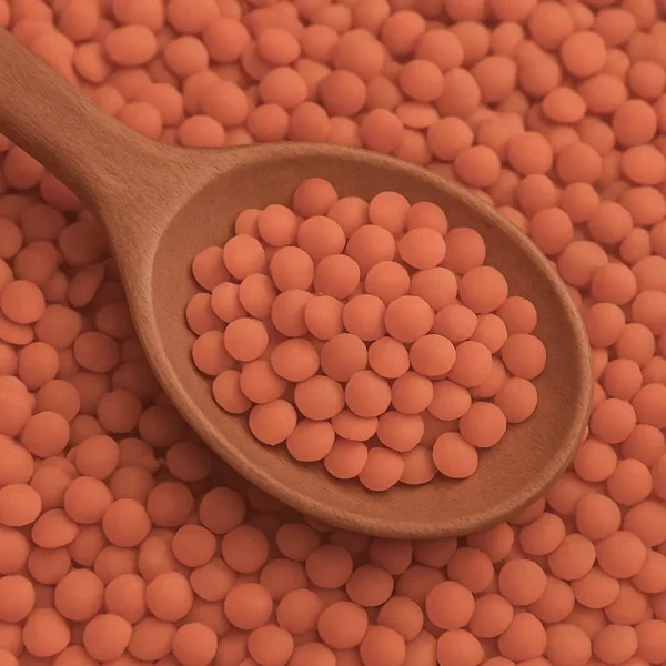 Rote Linsen