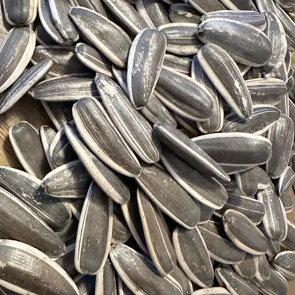 sonnenblumenkern Sonnenblumenkerne – Premium - Image 1