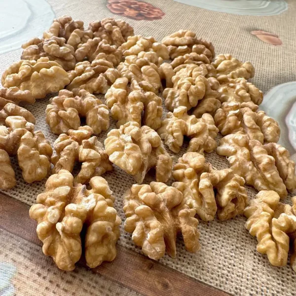 Walnusskerne – Erste Klasse