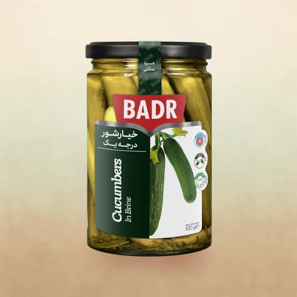 Salzige Gurken 620 g