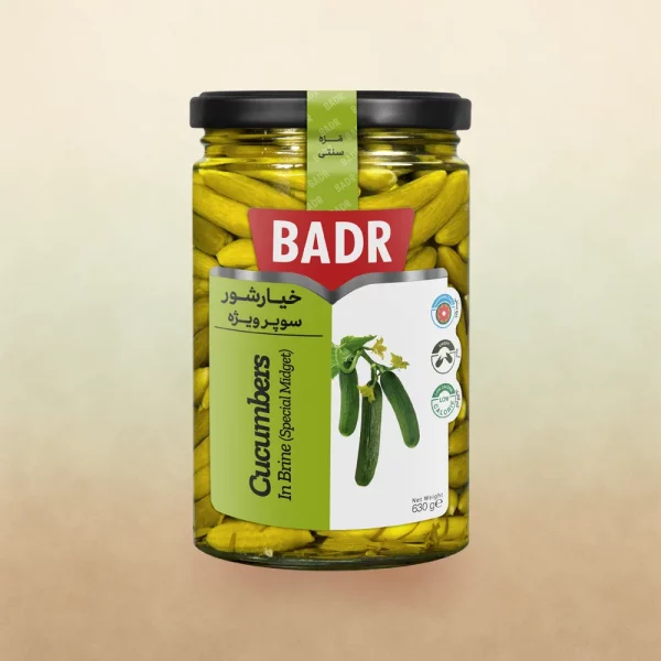 Salzige Gurken -Super speziell 630 g