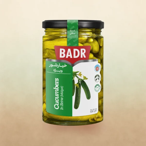 Salzige Gurken speziell 630 g